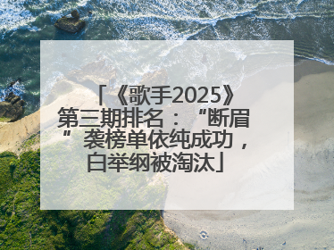 《歌手2025》第三期排名：“断眉”袭榜单依纯成功，白举纲被淘汰