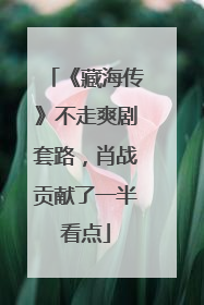 《藏海传》不走爽剧套路，肖战贡献了一半看点