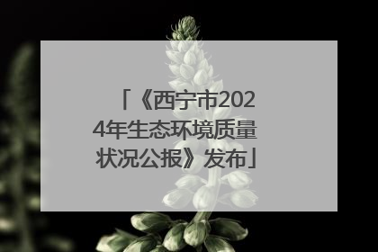 《西宁市2024年生态环境质量状况公报》发布