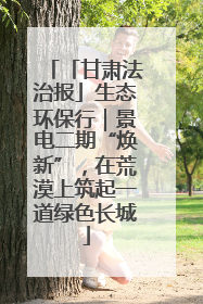 「甘肃法治报」生态环保行｜景电二期“焕新”，在荒漠上筑起一道绿色长城