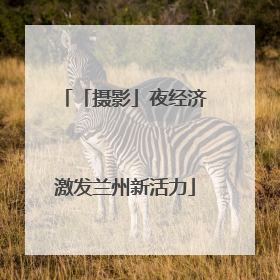 「摄影」夜经济激发兰州新活力