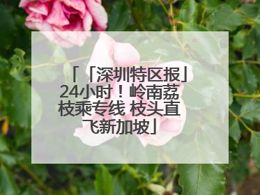 「深圳特区报」24小时！岭南荔枝乘专线 枝头直飞新加坡