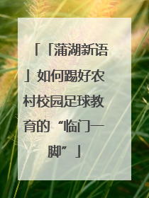 「蒲湖新语」如何踢好农村校园足球教育的“临门一脚”