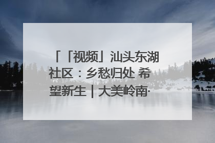 「视频」汕头东湖社区：乡愁归处 希望新生｜大美岭南·百村焕新记