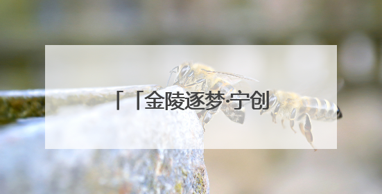 「金陵逐梦·宁创先锋」巧云破茧记