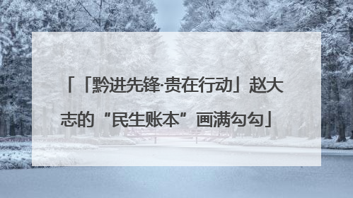 「黔进先锋·贵在行动」赵大志的“民生账本”画满勾勾