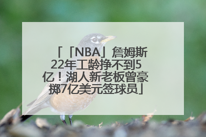 「NBA」詹姆斯22年工龄挣不到5亿！湖人新老板曾豪掷7亿美元签球员