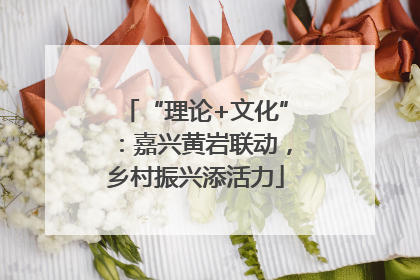 “理论+文化”：嘉兴黄岩联动，乡村振兴添活力