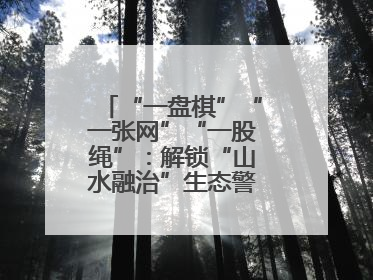 “一盘棋”“一张网”“一股绳”：解锁“山水融治”生态警务“密码”