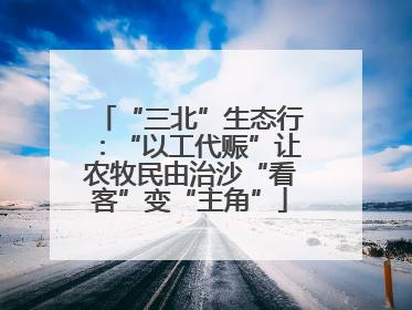 “三北”生态行：“以工代赈”让农牧民由治沙“看客”变“主角”
