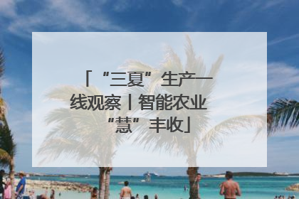 “三夏”生产一线观察丨智能农业“慧”丰收
