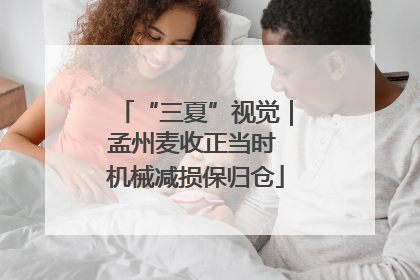 “三夏”视觉｜孟州麦收正当时 机械减损保归仓