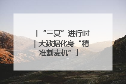 “三夏”进行时｜大数据化身“精准割麦机”