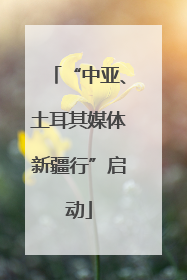 “中亚、土耳其媒体新疆行”启动