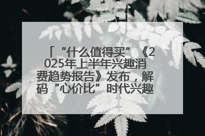 “什么值得买”《2025年上半年兴趣消费趋势报告》发布，解码“心价比”时代兴趣消费新范式