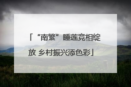 “南繁”睡莲竞相绽放 乡村振兴添色彩