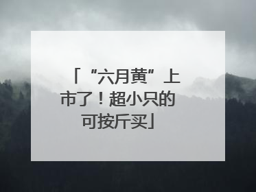 “六月黄”上市了！超小只的可按斤买