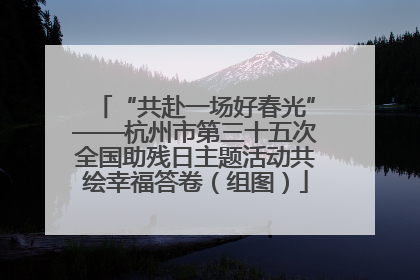 “共赴一场好春光”——杭州市第三十五次全国助残日主题活动共绘幸福答卷（组图）