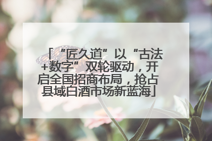 “匠久道”以“古法+数字”双轮驱动，开启全国招商布局，抢占县域白酒市场新蓝海