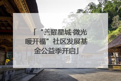 “善耀星城·微光暖开福”社区发展基金公益季开启