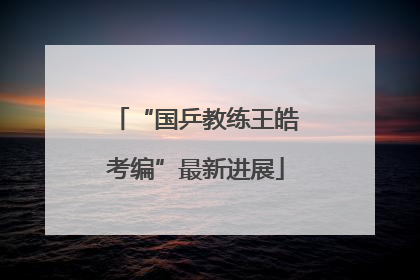 “国乒教练王皓考编”最新进展
