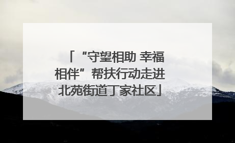 “守望相助 幸福相伴”帮扶行动走进北苑街道丁家社区