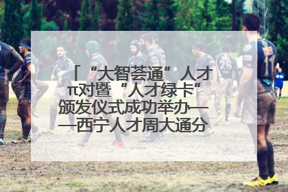 “大智荟通”人才π对暨“人才绿卡”颁发仪式成功举办——西宁人才周大通分会场亮点纷呈