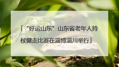 “好运山东”山东省老年人持杖健走比赛在淄博淄川举行