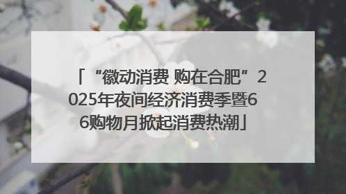 “徽动消费 购在合肥”2025年夜间经济消费季暨66购物月掀起消费热潮