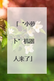 “小萝卜”机器人来了