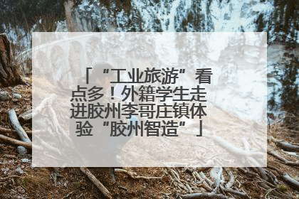 “工业旅游”看点多！外籍学生走进胶州李哥庄镇体验“胶州智造”