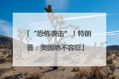 “恐怖袭击”！特朗普：美国绝不容忍