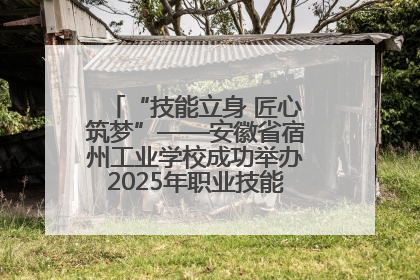 “技能立身 匠心筑梦”——安徽省宿州工业学校成功举办2025年职业技能活动周各项活动