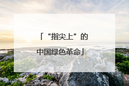 “指尖上”的中国绿色革命