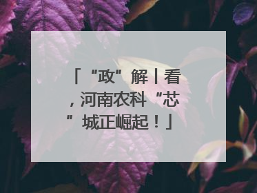 “政”解丨看，河南农科“芯”城正崛起！