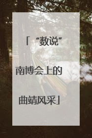 “数说”南博会上的曲靖风采