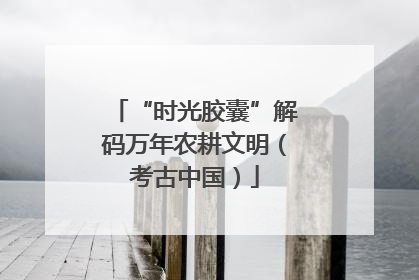 “时光胶囊”解码万年农耕文明（考古中国）