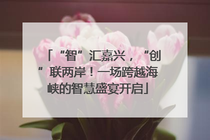 “智”汇嘉兴，“创”联两岸！一场跨越海峡的智慧盛宴开启
