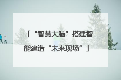 “智慧大脑”搭建智能建造“未来现场”
