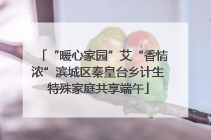 “暖心家园”艾“香情浓”滨城区秦皇台乡计生特殊家庭共享端午
