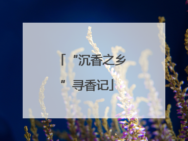 “沉香之乡”寻香记