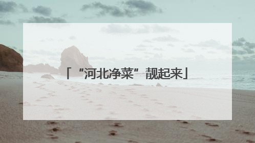 “河北净菜”靓起来