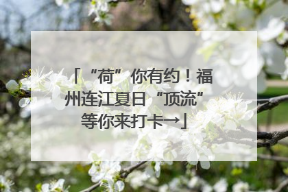 “荷”你有约！福州连江夏日“顶流”等你来打卡→