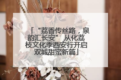 “荔香传丝路，泉韵汇长安” 从化荔枝文化季西安行开启双城甜蜜新篇
