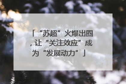 “苏超”火爆出圈，让“关注效应”成为“发展动力”