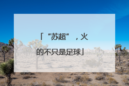“苏超”，火的不只是足球