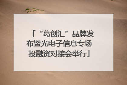 “葛创汇”品牌发布暨光电子信息专场投融资对接会举行