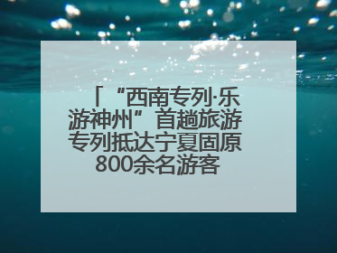 “西南专列·乐游神州”首趟旅游专列抵达宁夏固原 800余名游客开启清凉之旅