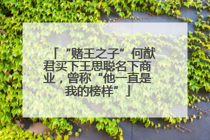 “赌王之子”何猷君买下王思聪名下商业，曾称“他一直是我的榜样”