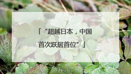 “超越日本，中国首次跃居首位”